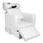 Imagem de KIT Evidence 1 Cadeira Reclinável + 1 Lavatório Com Descanso de Pé Para Salão