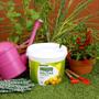 Imagem de Kit Fertilizante Forth Frutas + Forth Jabuticabeiras NPK+9
