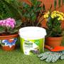 Imagem de Kit Fertilizante Forth Jardim E Forth Rosa Do Deserto NPK+9