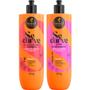 Imagem de Kit Finalização Se Curve Creme Finalizador + Goma Texturizadora 500ml Haskell