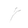 Imagem de Kit Fio Dental DenTek Floss Picks Complete Clean Easy Reach com 300 unidades