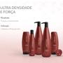 Imagem de Kit Fortalece Cabelo Force System Aneethun - 4 Produtos