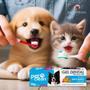 Imagem de Kit Gel Dental para Cães Cachorros Pet Clean 90g + Dedeira escova dental escova dentes Pet