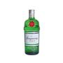 Imagem de Kit Gin Tanqueray + Silver Seagers + Bombay 750ml Cada