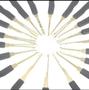 Imagem de Kit Goso 24 Chaves Michas Chaveiros Profissionais