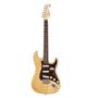 Imagem de Kit Guitarra Stratocaster SX SSTASHR Swamp Ash Tortoise Capa