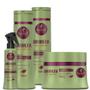 Imagem de Kit Haskell Bananeira Sh Cond Masc 300 Fluido 120ml