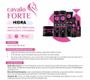 Imagem de Kit Haskell Cavalo Forte Hidra Shamp cond masc 300ml Mimo