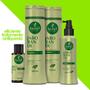 Imagem de Kit Haskell Jaborandi Antiqueda Completo 300ml - 4 Produtos (SHAMPOO + CONDICIONADOR + TÔNICO + NECTAVITA)