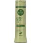 Imagem de Kit Haskell Jaborandi Sh Cond 300ml Tonico 120ml