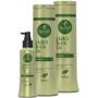 Imagem de Kit Haskell Jaborandi Sh Cond 300ml Tonico 120ml