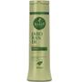 Imagem de Kit Haskell Jaborandi Sh Cond 300ml Tonico 120ml