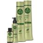 Imagem de Kit Haskell Jaborandi Sh Cond 500ml + 2 Itens