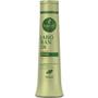Imagem de Kit Haskell Jaborandi Sh Cond 500ml + 2 Itens