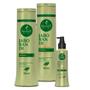 Imagem de Kit Haskell Jaborandi Shampoo + Condicionador 300ml + Tônico 120 ML