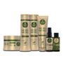 Imagem de Kit Haskell Murumuru Completo (6 Produtos) 300ml - Tratamento de Alta Nutrição para Cabelos Secos