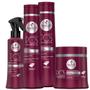 Imagem de Kit Haskell Pos Progressiva Sh Cond Mascara 500g Fluido