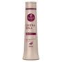 Imagem de Kit Haskell Shampoo Condicionador 500ml Leave-in Carga Queratina