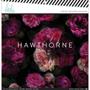 Imagem de Kit Hawthorne de papéis 30x30 para scrap Heidi Swapp - 36 folhas