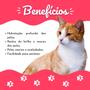 Imagem de Kit Hidratante Para Pelo De Cachorro Pet Family 3 Produtos