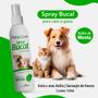 Imagem de Kit Higiene Bucal Para Cães e Gatos Pet Clean Sabores