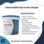 Imagem de Kit Impermeabilizante Incolor Resina Protetora Laje Telhado Piso Cimento Concreto Parede Selogel 900g Seloflex + Rolo de Espuma 9cm