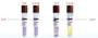 Imagem de Kit indicador biologico com 10 ampolas + integrador quimico classe 5 com 25 unid clean test