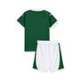 Imagem de Kit Infantil Puma Palmeiras I 2024