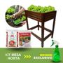 Imagem de Kit Jardinagem Completa Mesa Vaso Terra Argila Horta Jardim