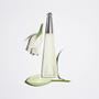 Imagem de Kit L'Eau D'Issey - 4 Miniaturas para Mulheres
