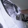 Imagem de Kit Lavagem Automotiva Shampoo V-Mol Cera Liquida tok Final Limpador Sintra Fast Renovador Intense Vonixx