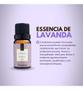 Imagem de Kit Lavanda - Difusor C/ Lavanda Água Perfumada E Refil 1l