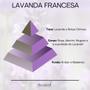 Imagem de Kit Lavanda Francesa Aromá (Aromatizador Spray 250 ml + Difusor Varetas 250 ml)