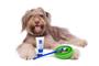 Imagem de Kit Limpeza dos Dentes para cães com Mordedor Massageador Dental Buddy Toys