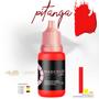 Imagem de Kit Lips Mag Color Gold 5ml - 3 Pigmentos para Micro Labial