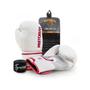 Imagem de Kit Luva De Boxe Muay Thai Fx2 Bandagem + Bucal - Pretorian