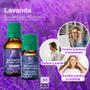 Imagem de Kit Melaleuca + Lavanda + Hortelã Pimenta + Alecrim 10ml