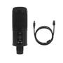Imagem de Kit Microfone Condensador Completo Com Suporte Articulado Shock Mount E Pop Filter