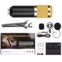 Imagem de Kit Microfone Condensador V8BM800 Dourado com Interface de Mesa e Braço Articulado XLR com Fio