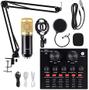 Imagem de Kit Microfone Profissional Completo Bm800 Dourado com Pop Filter Aranha Braço Articulado