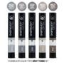 Imagem de Kit Mistura Canetas Chameleon Color Tops Tons de Cinza com 5 Cores CT4509