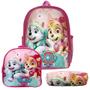 Imagem de Kit Mochila Escolar Menina Paw Patrol Skye Passeio Costas