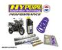 Imagem de Kit molas Performance D+T Traseira Roxa  - SP-TR12-SSC003