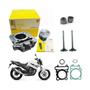 Imagem de Kit Motor Fazer Tenere Lander 250 Valvulas Retentor Gasolina