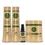 Imagem de Kit Murumuru Haskell 4 Itens 500ml/g - Néctar Concentrado 35ml