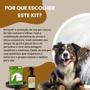 Imagem de Kit Neem Pet Proteção 3 Coleira e Spray Cães Acima de 15kg