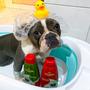 Imagem de Kit Nutrição Shampoo Condicionador e Colônia Perfume Cães e Gatos Melancia Brincalhão