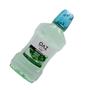 Imagem de Kit OAZ Fresh Care Menta Suave Antisséptico C/ 10Un De 250ml