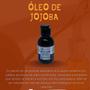 Imagem de Kit Óleo Capilar Coco 100ml -Jojoba 100ml  -Glicerina 100ml
