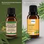 Imagem de Kit Óleo Essen. Euc. Staigeriana 20Ml + Vegetal Alecrim 30Ml